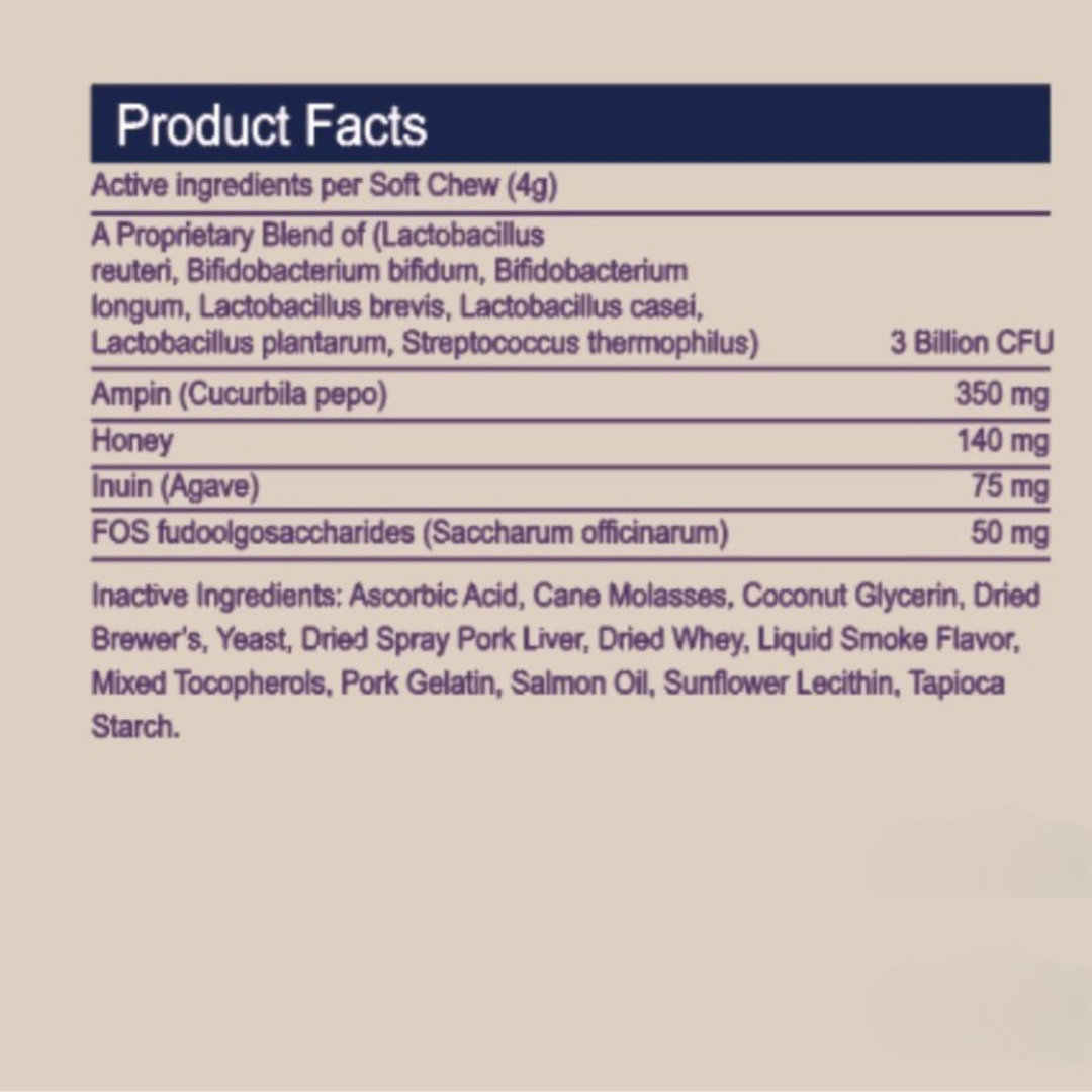 Probiotic Chew - Health-Promoting Probiotics for Dogs