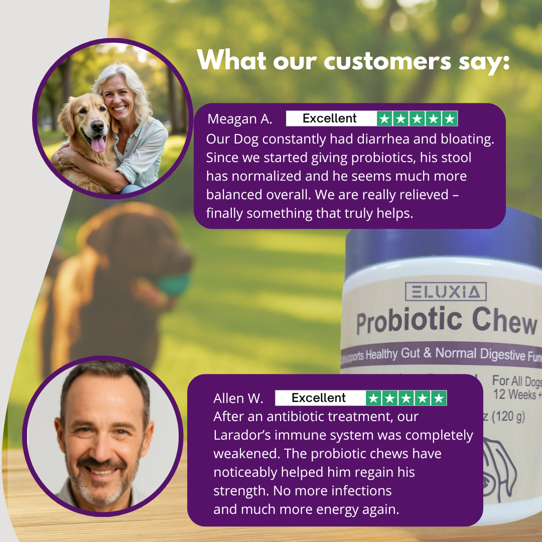 Probiotic Chew - Health-Promoting Probiotics for Dogs